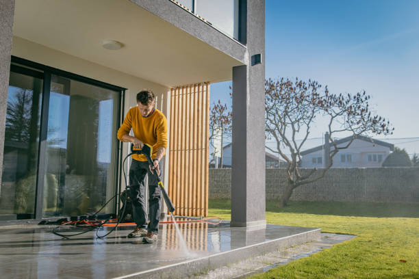 Best Spring Cleaning  in Oakwood, IL